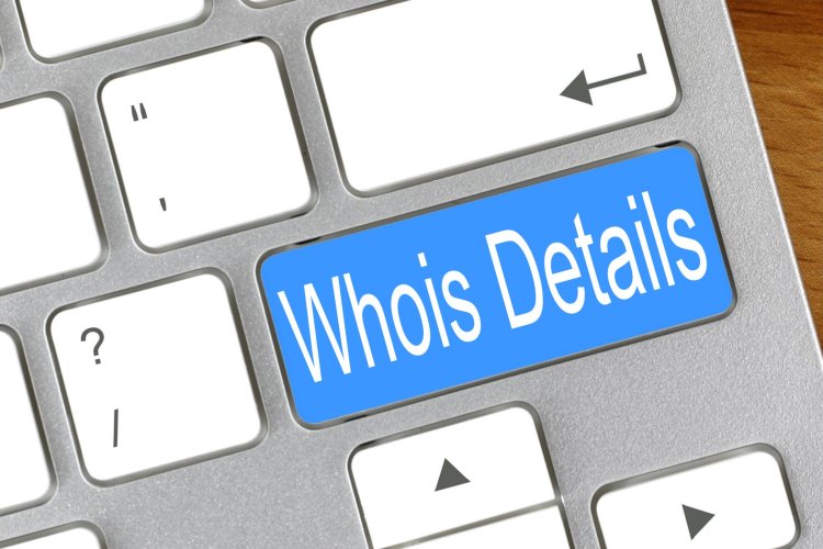Whois Checker Tool: The Ultimate Guide to Analyzing Your Domain