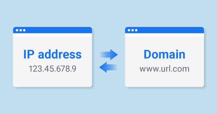 Domain into IP Tool: Free Website Analysis and IP Address Checker