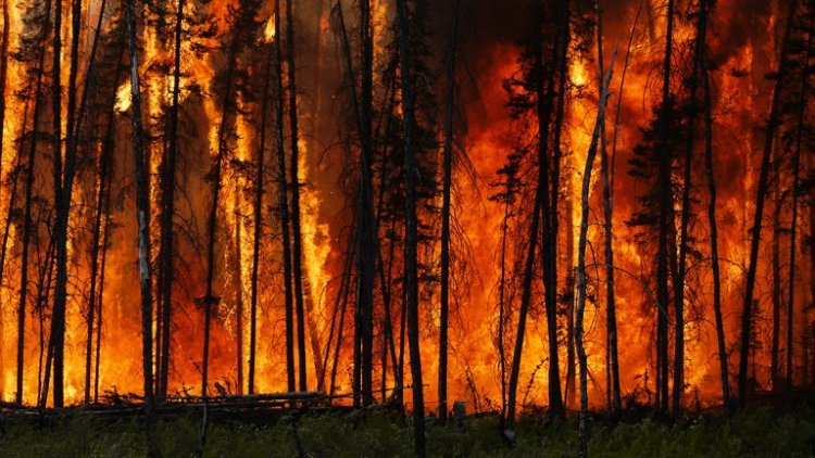 Accelerating Wildfire Spread in the Western U.S.: The Need for Fast, Strategic Decisions